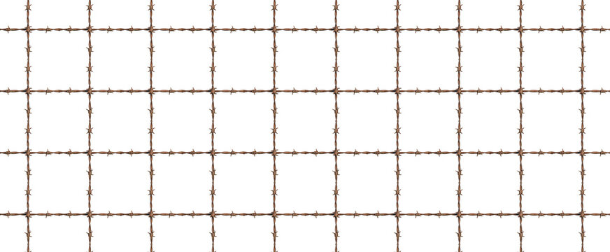 rusty barbed wire forming a perfect grid pattern