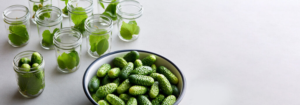 Fresh cucumbers and green leaves prepared in glass jars for homemade pickling and preservation with copy space