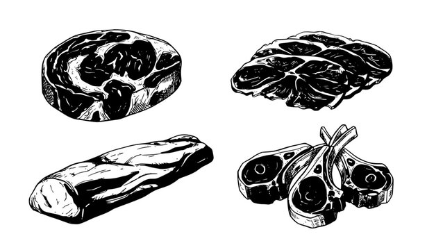 Fresh Raw Meat Cuts Hand Drawn Sketch Vector Collection Beef Steak Ham Pork Fillet Lamb Chops