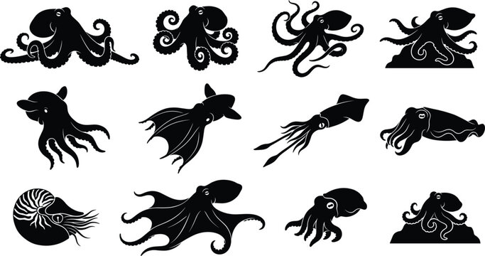 Marine Biology Cephalopod Silhouette Icon Collection with Octopus Squid and Nautilus Symbols for Ocean Graphic Design Projects