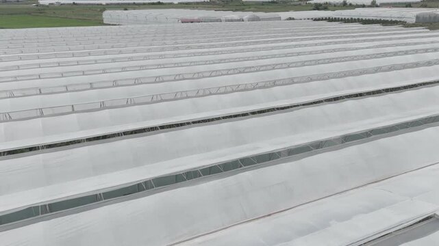 Aerial forward flight over massive commercial greenhouse complex.  [D-Log M]