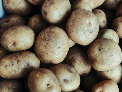 Full frame close up of fresh raw potatoes background