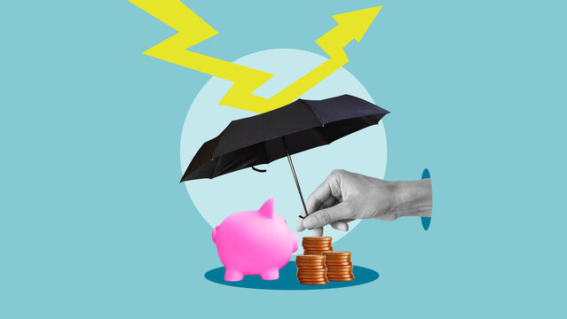 Financial Security and Emergency Savings, Investment Risk Management, Inflation Protection, Wealth Preservation and Personal Finance Planning