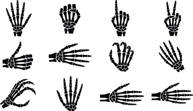 Collection of various skeleton hand gestures and bone poses for spooky halloween design and graphic projects