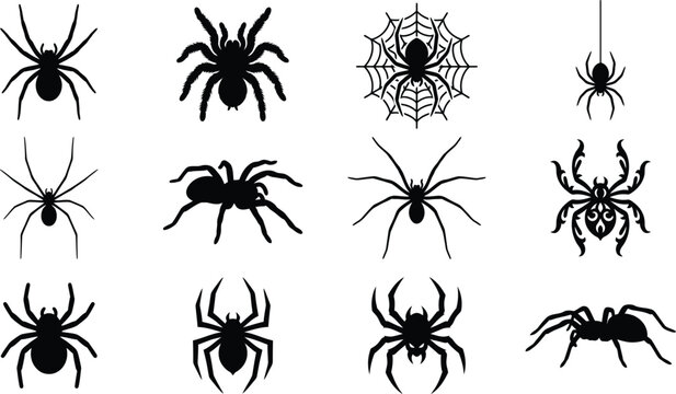 Set of black spider silhouettes for halloween decorations and spooky party design elements on white background