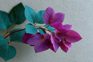 Obraz premium Purple floral bloom with teal leaves for botanical background and floral banner design suitable for wallpaper and poster