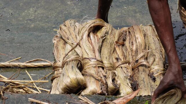 Washed raw jute fiber bundle for textile production