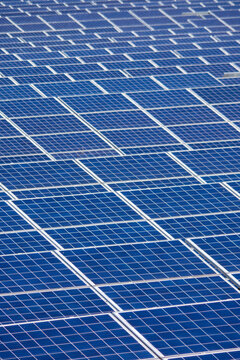 Solar Farm - Sunny Day - Close Up Solar Panels - a full frame vertical close up of panels with selective focus and space for copy.