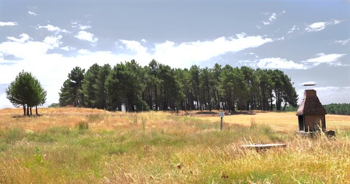 Rural landscape with trees and barbecue under a cloudy sky