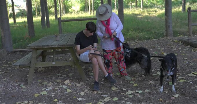People with two dogs using smartphones in a park