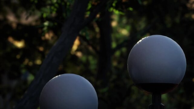 The scene shows two round lamps with light reflecting off them. The background has green trees that partially block the sunlight. This is a park setting.