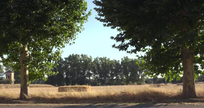 Rural country landscape with straw bale in a field