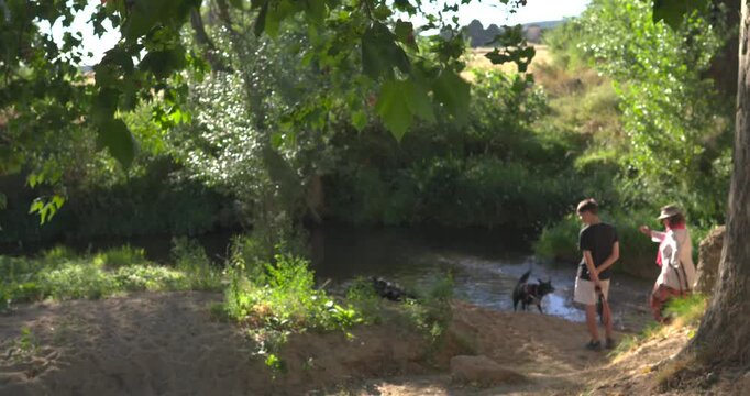 Two black dogs playing in a river near their owners