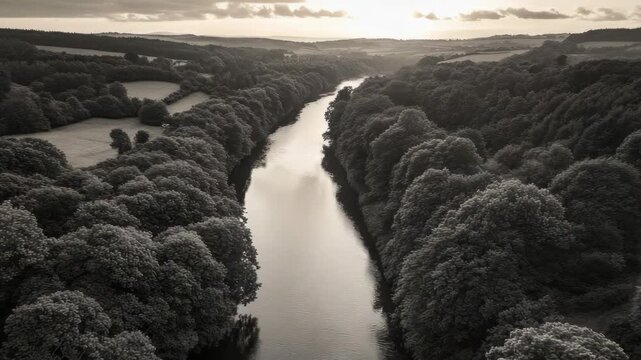 Aerial view of a wide river winding through a dense forest landscape