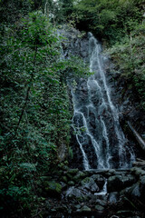 waterfall in the forest © Violeta