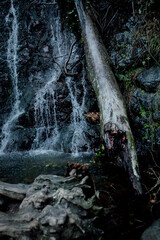 waterfall in the forest © Violeta