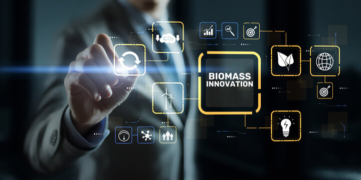 Biomass Innovation for Sustainable Energy and Environmental Technology Development