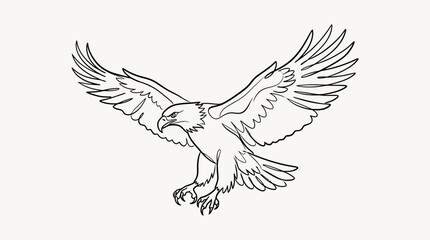 Fototapeta premium Flying bald eagle line drawing.