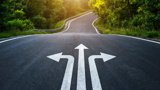 Decision making and choice concept stock photo. Three white directional arrows pointing left straight right painted on winding asphalt forest road, landscape photography.