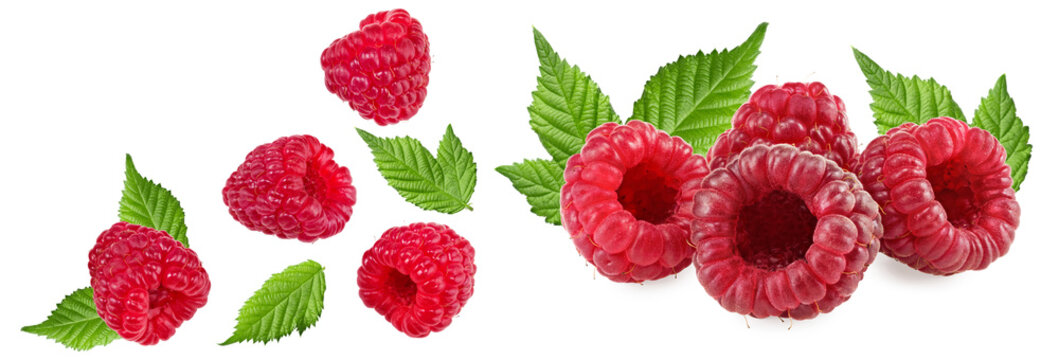 ripe raspberries with green leaves isolated on white background. clipping path