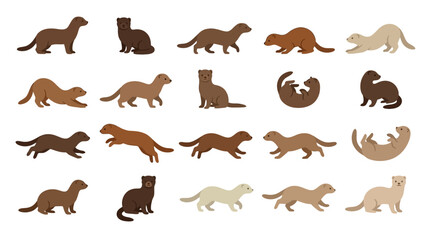 Fototapeta premium Set of cute mink illustrations showing different poses and colors of the animal.