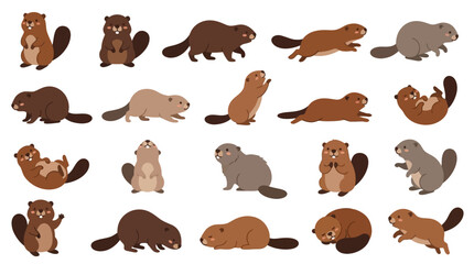Set of cute cartoon beaver characters in various poses and actions isolated on white background. © Pink