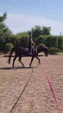 Training a horse with a rider in an outdoor arena during bright daylight