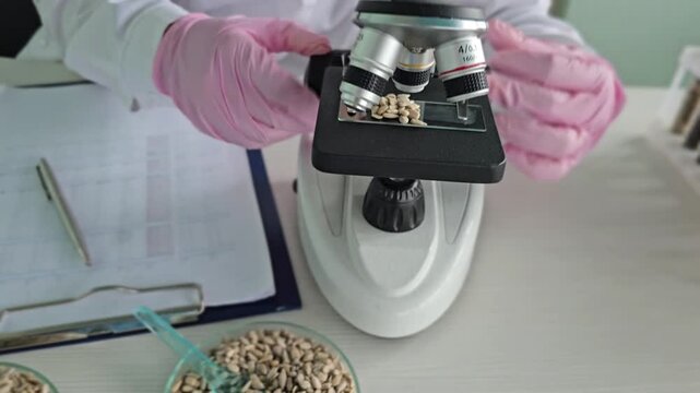 A microscope examines sunflower seeds on a glass slide in a laboratory