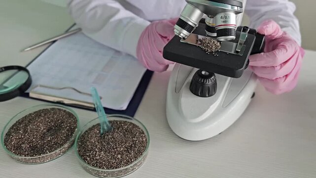 A microscope examines tiny chia seeds on a glass slide in a laboratory