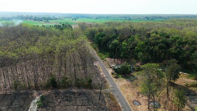 Aerial drone view of forest fire smoke rising from a burning patch in a dry teak woods next to lush green agricultural rice fields and a rural village.