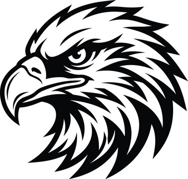 Stylized black and white eagle head mascot graphic illustration for sports team logo design