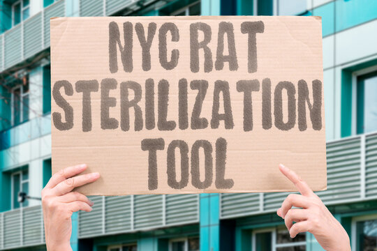 "NYC rat sterilization tool" Innovative control. NYC. RAT. STERILIZATION. TOOL. INNOVATION.