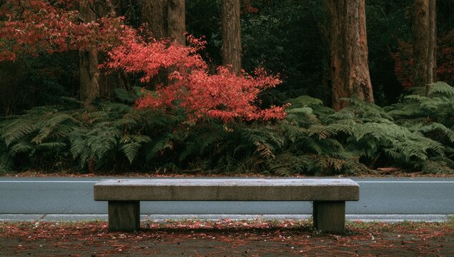 Stone bench in autumnal park with vibrant red foliage and towering trees