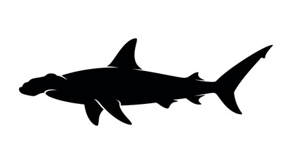 Hammerhead Shark Silhouette: A striking silhouette of a hammerhead shark, showcasing its distinctive cephalofoil head and powerful fins, captured against a clean background. © Ariqa