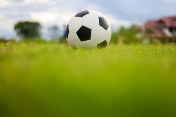 Fototapeta premium soccer ball on green grass with copy space