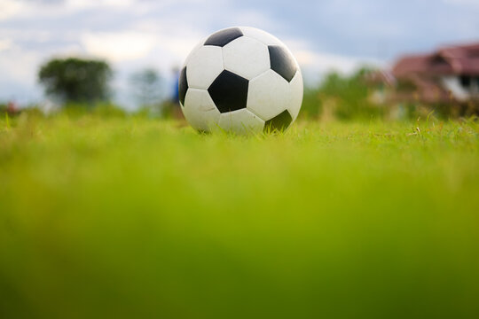 soccer ball on green grass with copy space