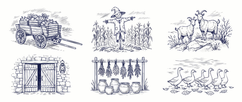 Farm sketch vintage vector illustration set featuring wooden cart harvest, scarecrow, goats, rustic barn door, drying herbs, and geese in hand drawn line art style for autumn countryside design