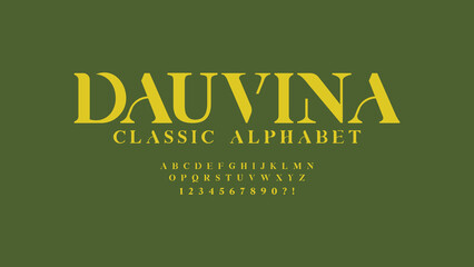 Unique and elegant display alphabets. Decorative vintage retro concept. Modern typography serif fonts regular decorative classic design. vector illustration © GuinandraSy