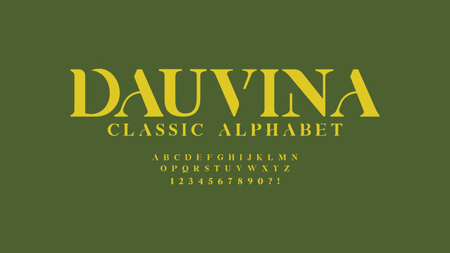 Unique and elegant display alphabets. Decorative vintage retro concept. Modern typography serif fonts regular decorative classic design. vector illustration