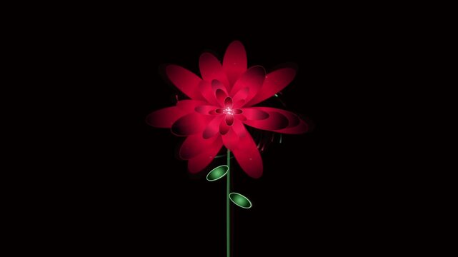 Animated glowing red flower blooming and spinning slowly on a dark black background vector style