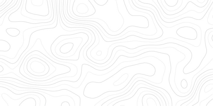 Abstract topographic map contour lines pattern. Minimalist white background with subtle topography curves. Elegant geological elevation map design for creative layouts.