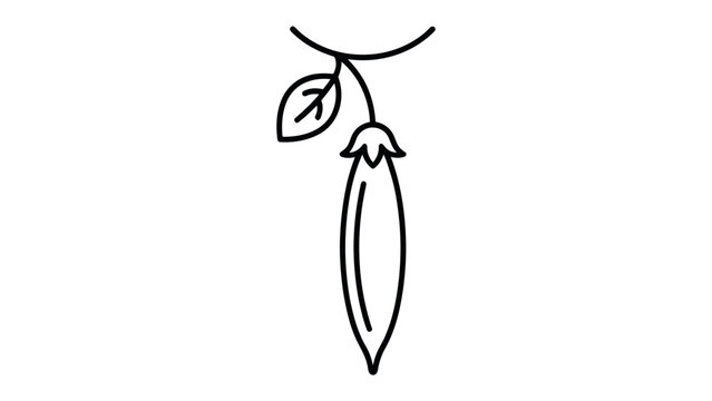 Pea Pod Drawing: A minimalist line art illustration of a single pea pod hanging from a delicate stem with two leaves, representing growth and simplicity.