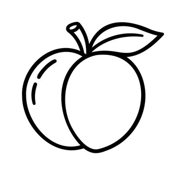 Peach Duo Outline Icon with Leaf Design for Fresh Fruit and Healthy Food