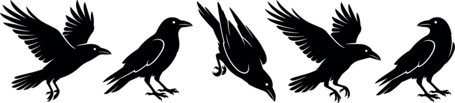 Set of black and white crow and raven silhouettes in various flying and standing poses