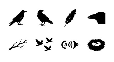 Fototapeta premium Raven Icons Set, Black Bird Silhouettes, Feather, Nest, Branch, Flying Birds, Minimalist Vector Graphics for Wildlife and Nature Designs