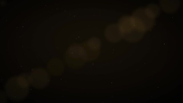 Flying Organic Dust Particles Black Background