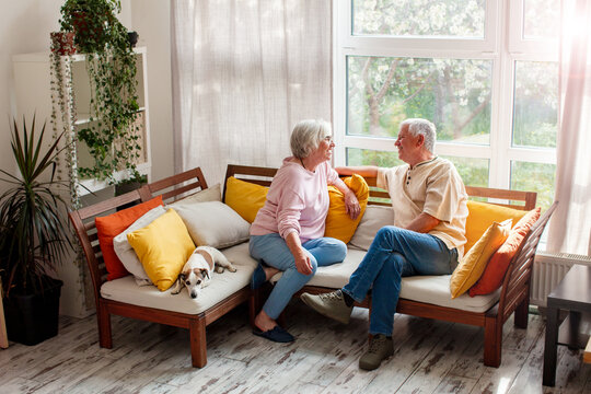 Happy senior couple talking and laughing on cozy sofa at home with dog. Retirement lifestyle, love and togetherness of elderly spouses in bright living room interior.