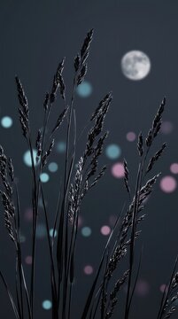 Dark night landscape with grass silhouettes and full moon