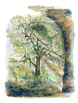 Markers and pen illustration of a tree and a stone arch. Modern style landscape for cards, art prints, stickers, travel books