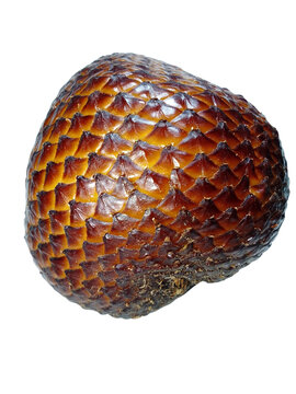 brown palms fruit close up top view